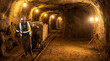 © Taras Roshchuk - Worker pulls a cart through a dimly lit mine tunnel while bright lights illuminate the rocky surroundings and the worn tracks
