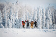 © Halfpoint - Friends walking through winter forest in snowy landscape.