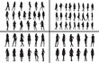 © Geetaroy - full body people silhouette vector, human body black silhouettes, men women full body illustration set, standing walking poses outline art, human vector collection, body icon set, people clipart silho