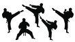 © RABEYA - Martial arts practitioners in dynamic poses showcasing strength and skill silhouette