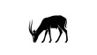 © tkffj - Black silhouette of an antelope grazing.