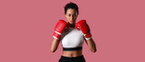 Female African-American boxer on pink background