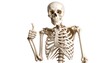 © Cahyo - A life-sized, anatomical model poses with a hand gesture on a solid white background. It has a neutral expression