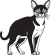 © Abul_Kashem - Black and white cat illustration on white background