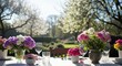 © DARYATIK - Outdoor garden table setting on a sunny day