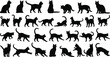 © Habiba's World - Cat silhouette icon set showing various feline poses and movements, ideal for pet design, animal illustrations, veterinary concepts, and playful domestic cat themes