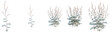 © DH Tree Stock - Actaea simplex tree, front view, cutout, transparent background, isolate, Wildflower meadow, plants and grass, nature's beauty, floral arrangements, botanical illustration, digital art