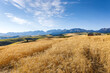 © zhao dongfang - Golden wheat field on the rolling hills with a background of majestic mountains in Xinjiang.