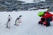 © Song_about_summer - wildlife nature photographer photographing group of curious penguins in Antarctica