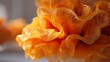 © Hnf - Close-up of intricate, orange, web-like formations with soft edges, suggesting a delicate organic structure. Blurred background