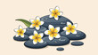 © Albina - Frangipani flowers on wet stones for spa and wellness treatment concept