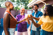 © Nexa - Happy multi-generational diverse friends toasting with beer glasses at a backyard pool party on a sunny day.