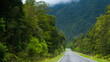 © Antonina - road going through jungle rain forest bush new zealand west coast green lush