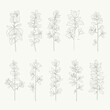 © Vooglo.com - A collection of various plant line drawings on a beige background
