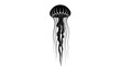 © Alis - Elegant black and white jellyfish illustration with flowing tentacles on a clean background