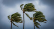 © PhotoArtHub - Three palm trees sway in a strong wind against a stormy sky, depicting nature's power and resilience in harsh weather conditions