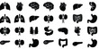 © aragiku - Set of medical organ icons, representing the human body's internal systems and health