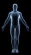 © pavlofox - Human figure in transparent view showing body structure