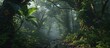 © Brian - photo of tropical rainforest jungle landscape - open environment in nature