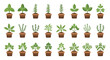 © punduh - Collection of different herb plants in pots illustration graphic design vector set