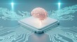© Rohan - 3D render of a glowing anatomical human brain resting on a microchip connected to a digital circuit board representing artificial intelligence and computing power.
