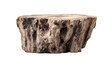 © agus - Rustic wooden stump with rough texture and natural holes against black