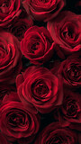 Tekstura czerwonych róż – widok z góry