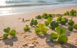 © Al Amin - Lucky four leaf clover on st patrick's day beach scene with ocean waves
