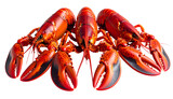 Five cooked red crustaceans arranged in a circular formation, against a black background