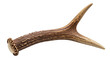 © Saim Art - 3d antler with transparent background cutout png