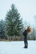 © DSMT - Woman with long hair standing in snowy field under tall trees in winter during daylight