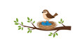 © Keya - Illustration of a small brown bird standing on its nest containing three blue eggs perched on a leafy tree branch.