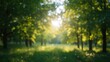 © vxnaghiyev - Soft-focused green bokeh backdrop, ideal for layout design and editorial headers in nature-themed projects