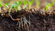 © ThomasStockArt - Regenerative agriculture close-up Healthy soil with earthworm roots cover crops macro detail life