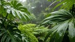 © firma - Lush green tropical rainforest foliage with large wet leaves during a gentle rain shower, showcasing vibrant jungle vegetation.