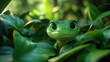 © Pachara - Green tree python peeking through glossy tropical leaves with curious bright eyes conveying wonder and calm in soft natural light