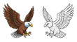 © Shahid - Bald Eagle Soaring in Flight Vibrant Color and Detailed Grey Line Art Side by Side Set