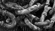 © Justlight - A of rusty chains each link fused together in a tangled web of decay. Black and white art