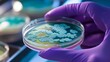 © Chaikit - Medical laboratory analysis image capturing fungal culture examination, researcher's purple-gloved hand precisely holding transparent petri dish containing mature Penicillium expansum colonies,