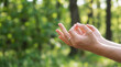 © Alicina - Closeup of woman's hands doing yoga for a healthy life in a forest