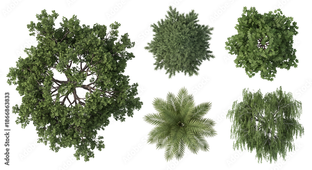 Top view collection of various trees for architectural landscape design ...
