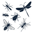 © MD MOGAMMEL HAQUE  - Silhouettes of various insects