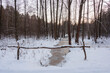 © boguslavus - Leśny strumień pokryty lodem. Jest zima ziemię pokrywa warstwa śniegu. Wysokie drzewa pozbawione są liści. Strumień zabezpieczony jest barierką wykonaną z sękatych, krzywych żerdzi.