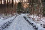 Leśna droga w zimowy mroźny dzień. Nawierzchnia drogi i ziemia obok pokryta jest warstwą śniegu.  Droga znika za pobliskim zakrętem.