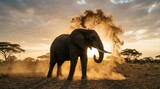 African Elephant Dust Bathing at Sunset on Savanna Plains