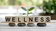 © Zander - Wellness Wooden Blocks Balanced on Zen Stones with Green Sprout for Holistic Health Growth and Mindfulness Balance Concept