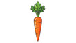 © Haider - Brightly colored cartoon illustration of a single vibrant orange carrot featuring a healthy green leafy top representing fresh produce and vegetable goodness.
