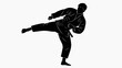 © Amalri - Martial arts athlete in dynamic kick stance with focused expression