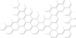 © world war 5 - Abstract white 3d hexagonal surface with geometric wave line, light white hexagonal tile pattern, abstract white honeycomb structure featuring organic geometric patterns creates a modern design.