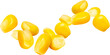 © Igor - corn isolated on white background